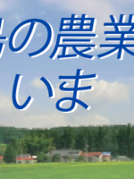 福島農業の今｜消費者リポート3月号特集記事