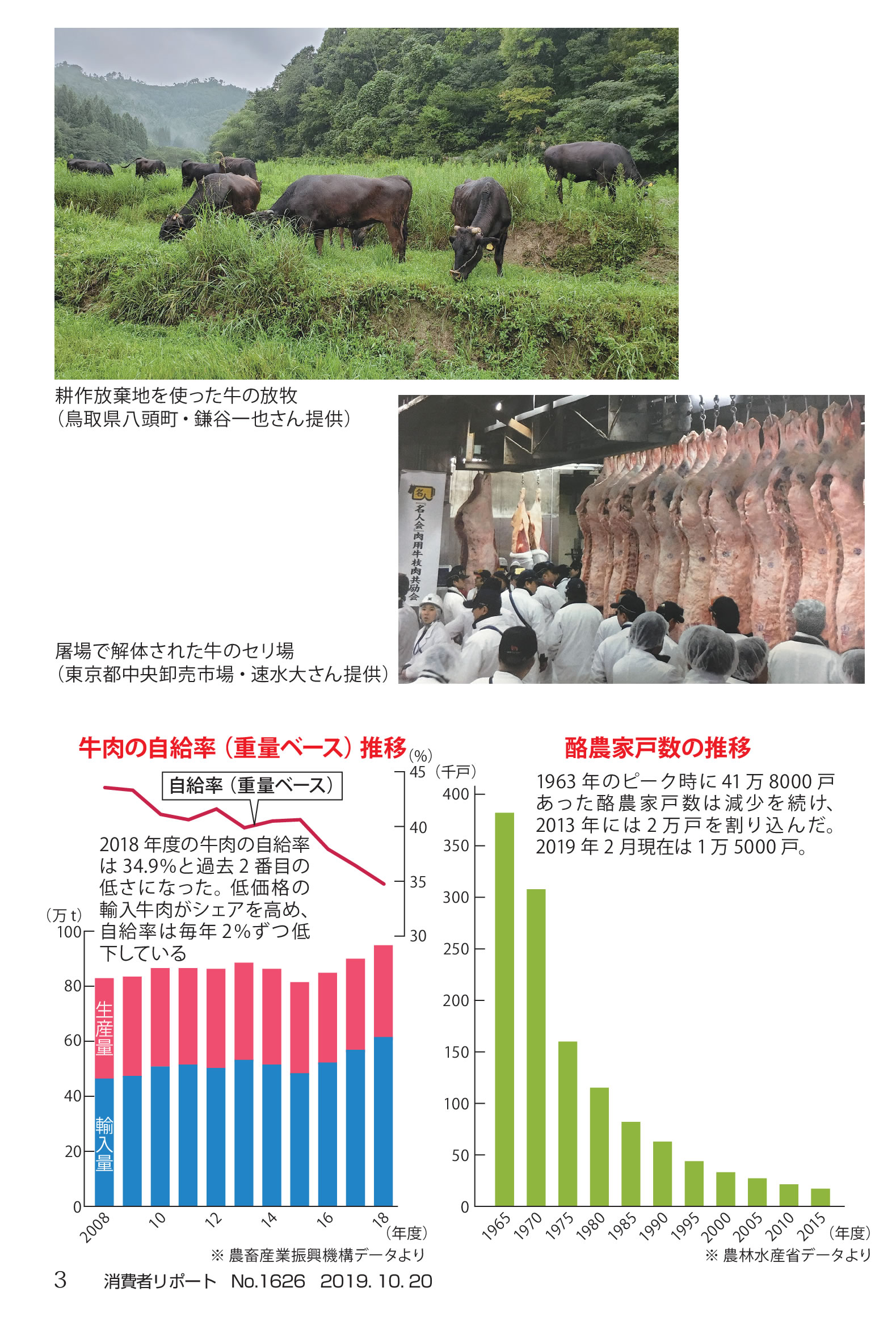 消費者レポート2019年10月号 特集