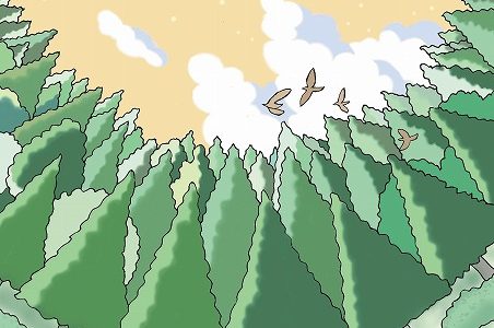 【消費者リポート】1636号（2020年8月20日発行）