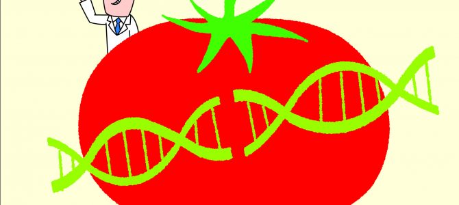 【ブックレット】新しい遺伝子組み換え　ゲノム編集食品の真実