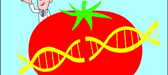 【ブックレット】増補改訂版：新しい遺伝子組み換え　ゲノム編集食品の真実